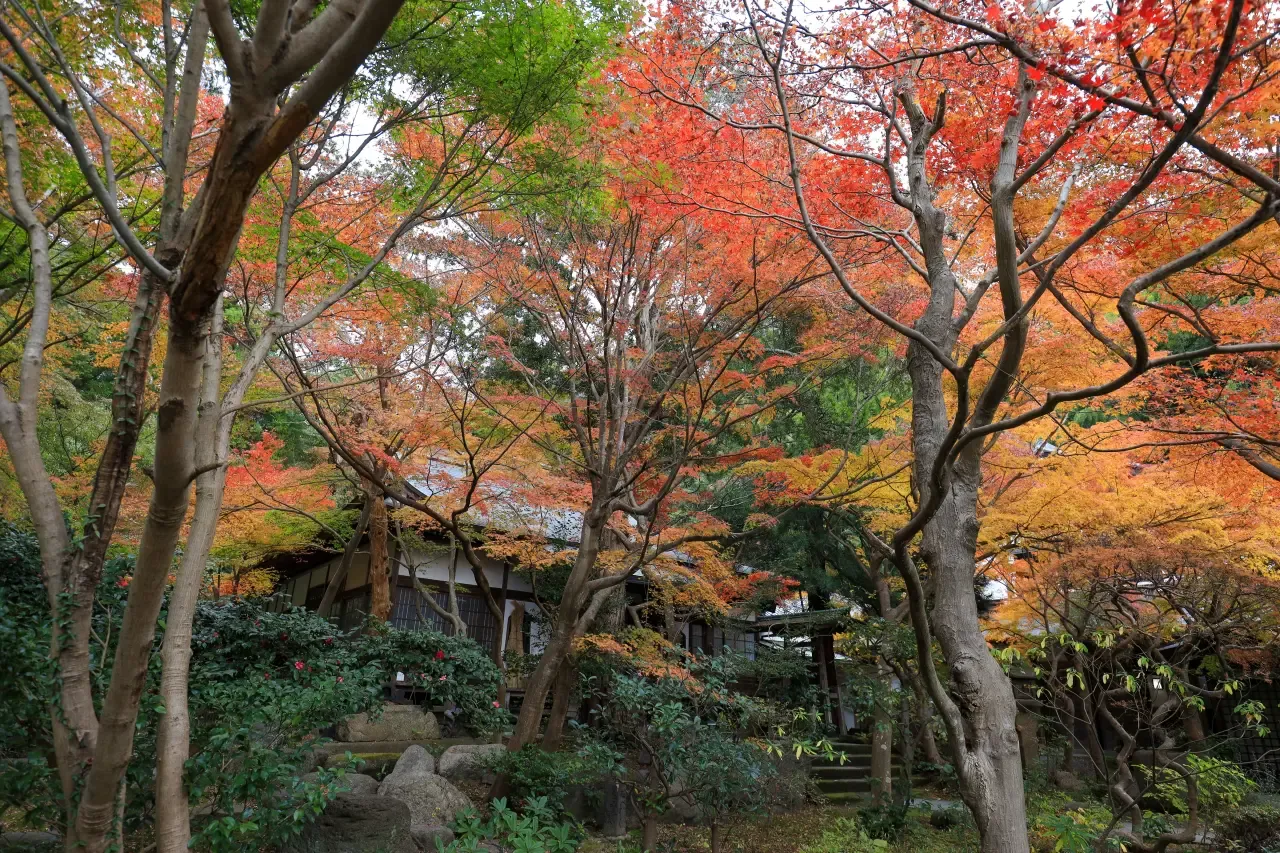 覚園寺