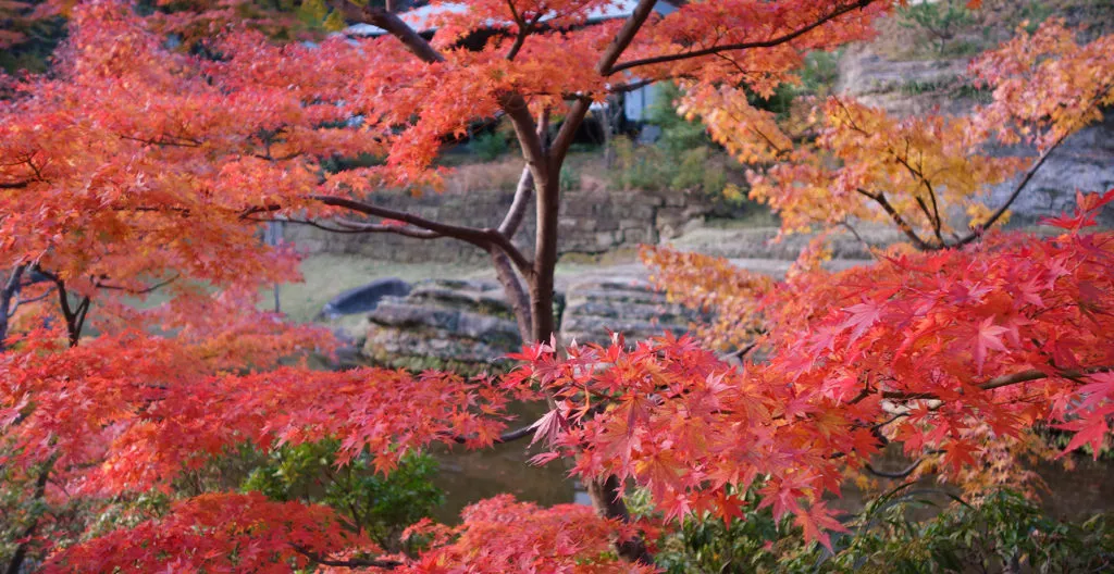 円覚寺