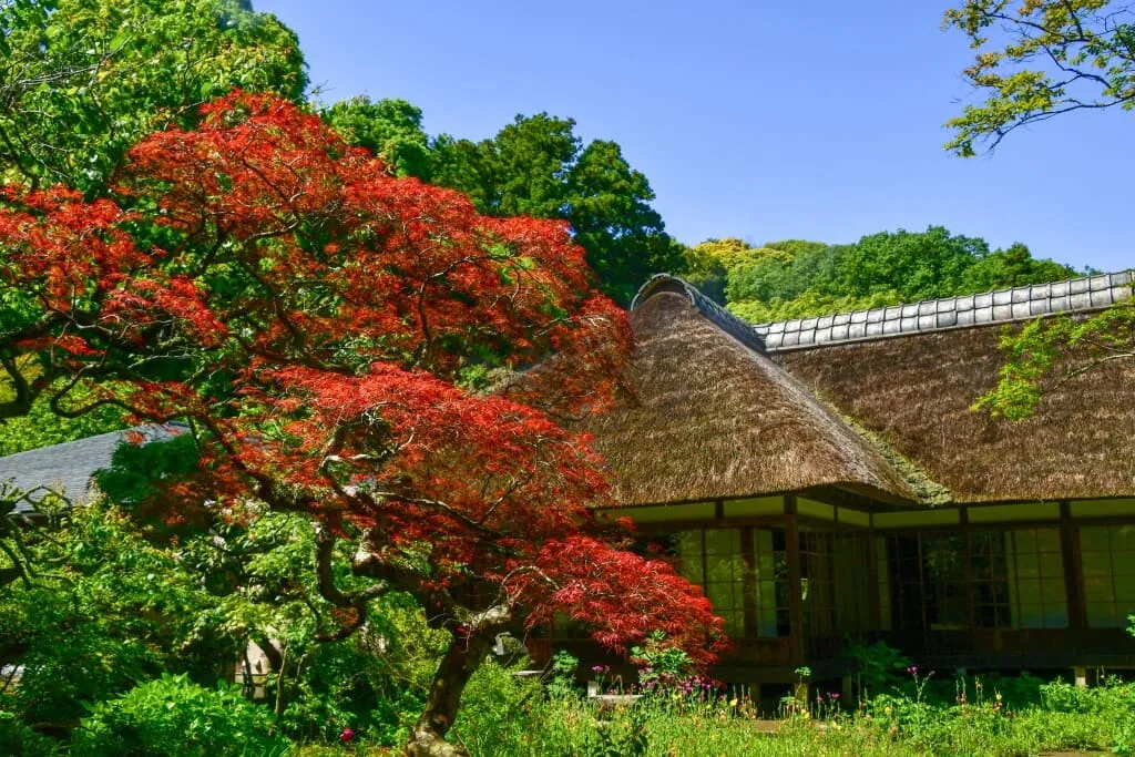 浄智寺