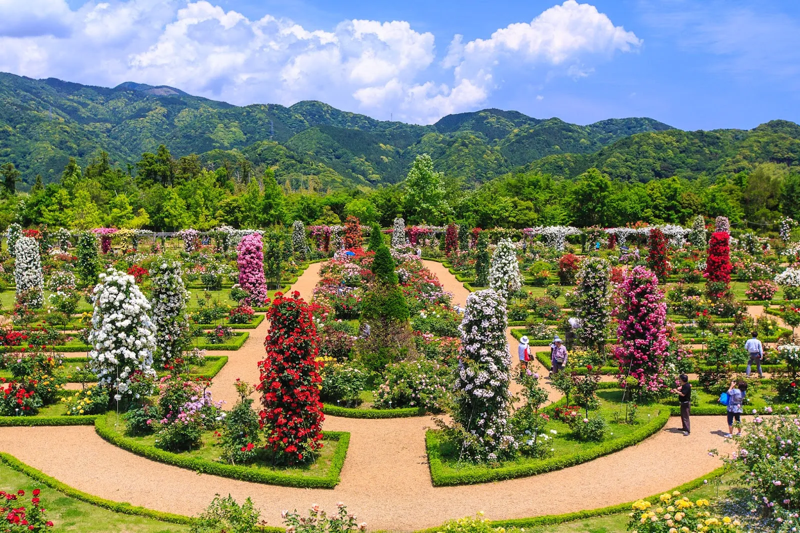 河津バガテル公園