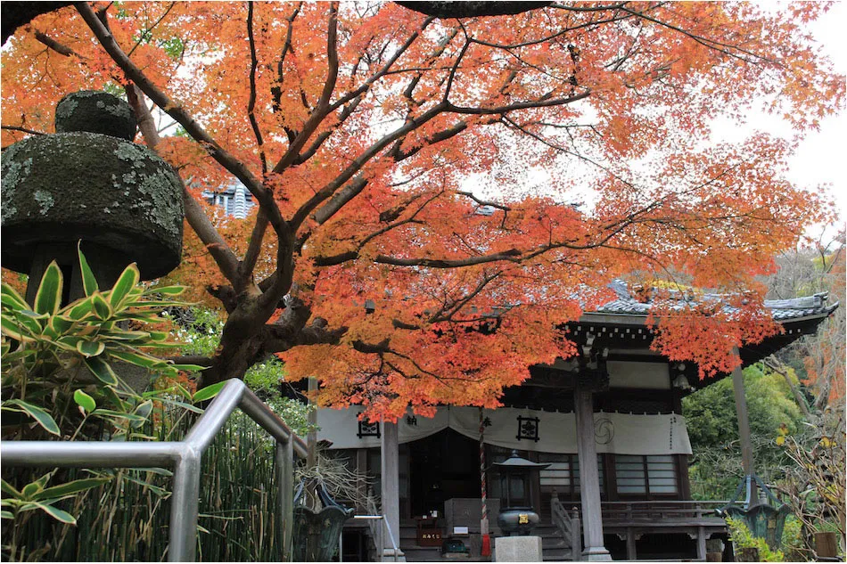 安国論寺