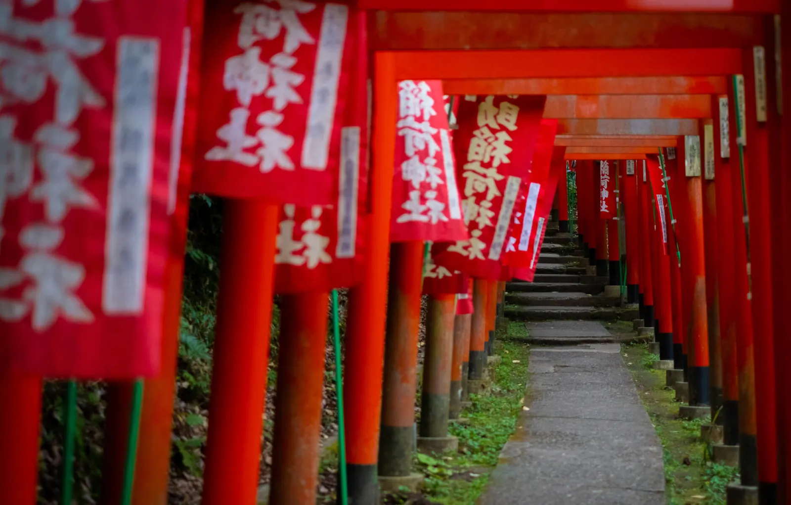 佐助稲荷神社