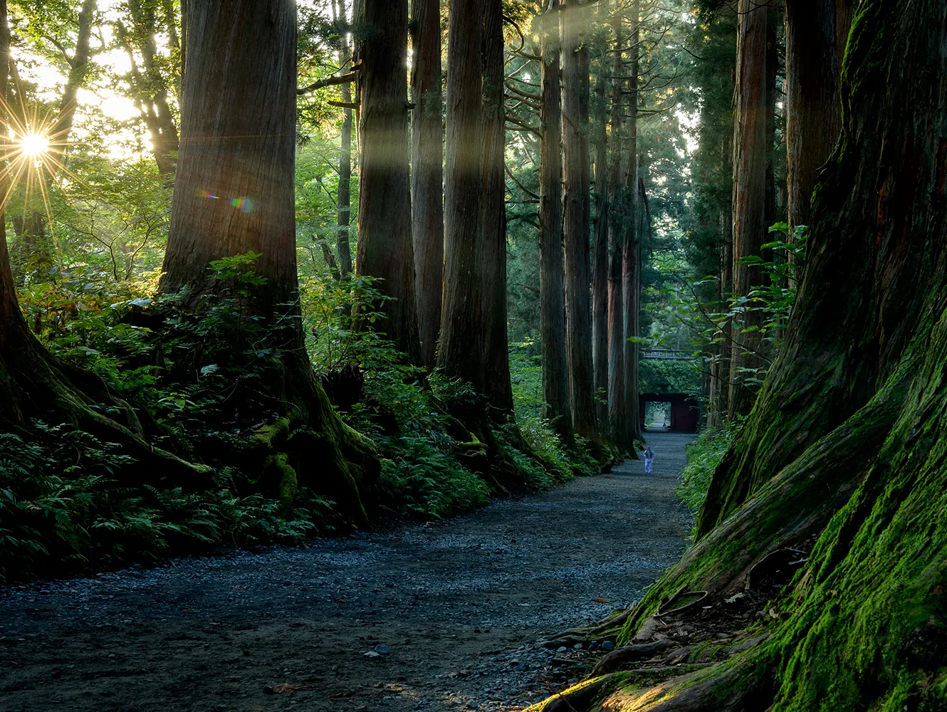 戸隠神社