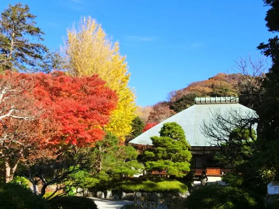 浄妙寺