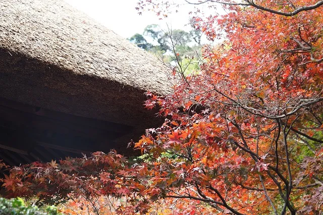 長寿寺