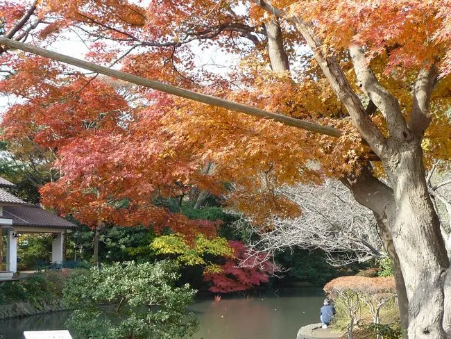 鶴岡八幡宮