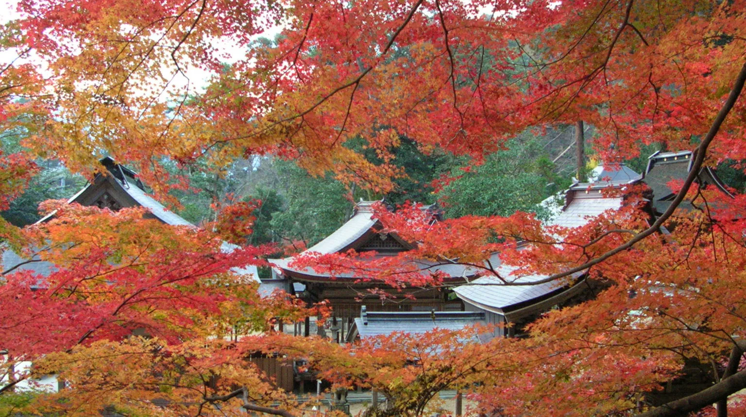 山王宮日吉神社