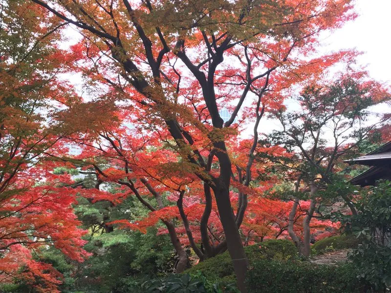 五島美術館