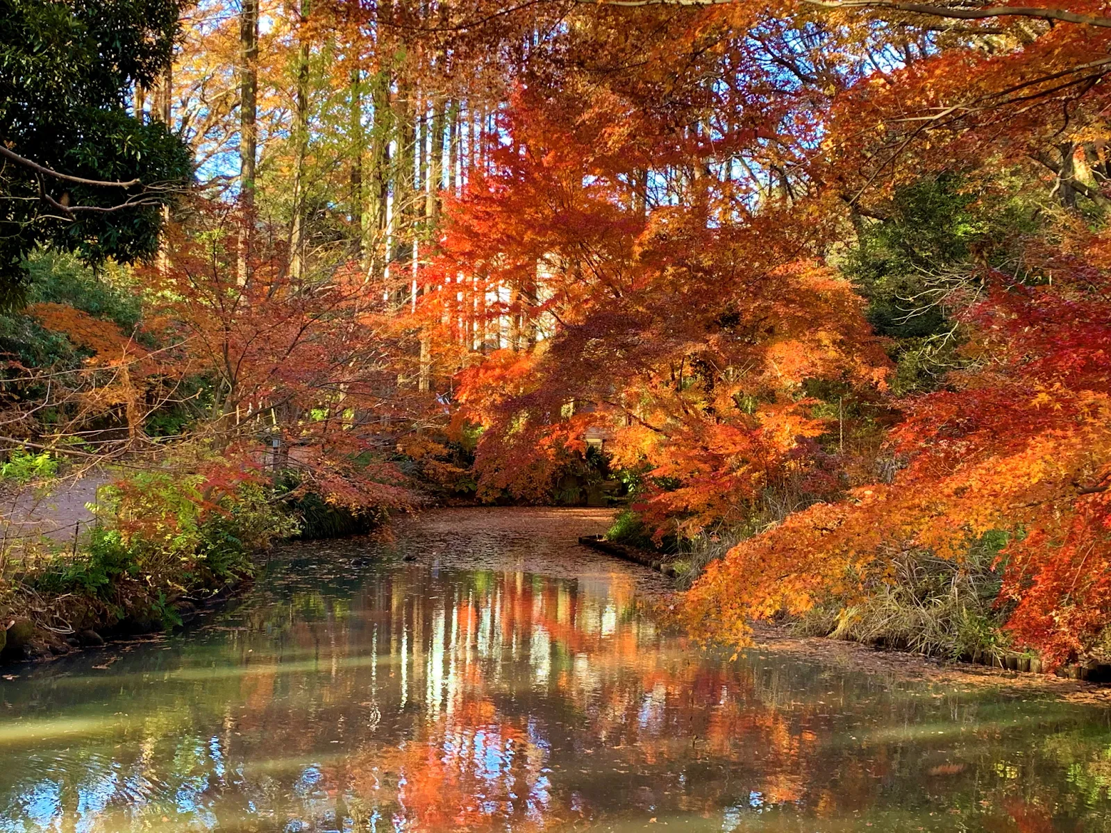 生田緑地