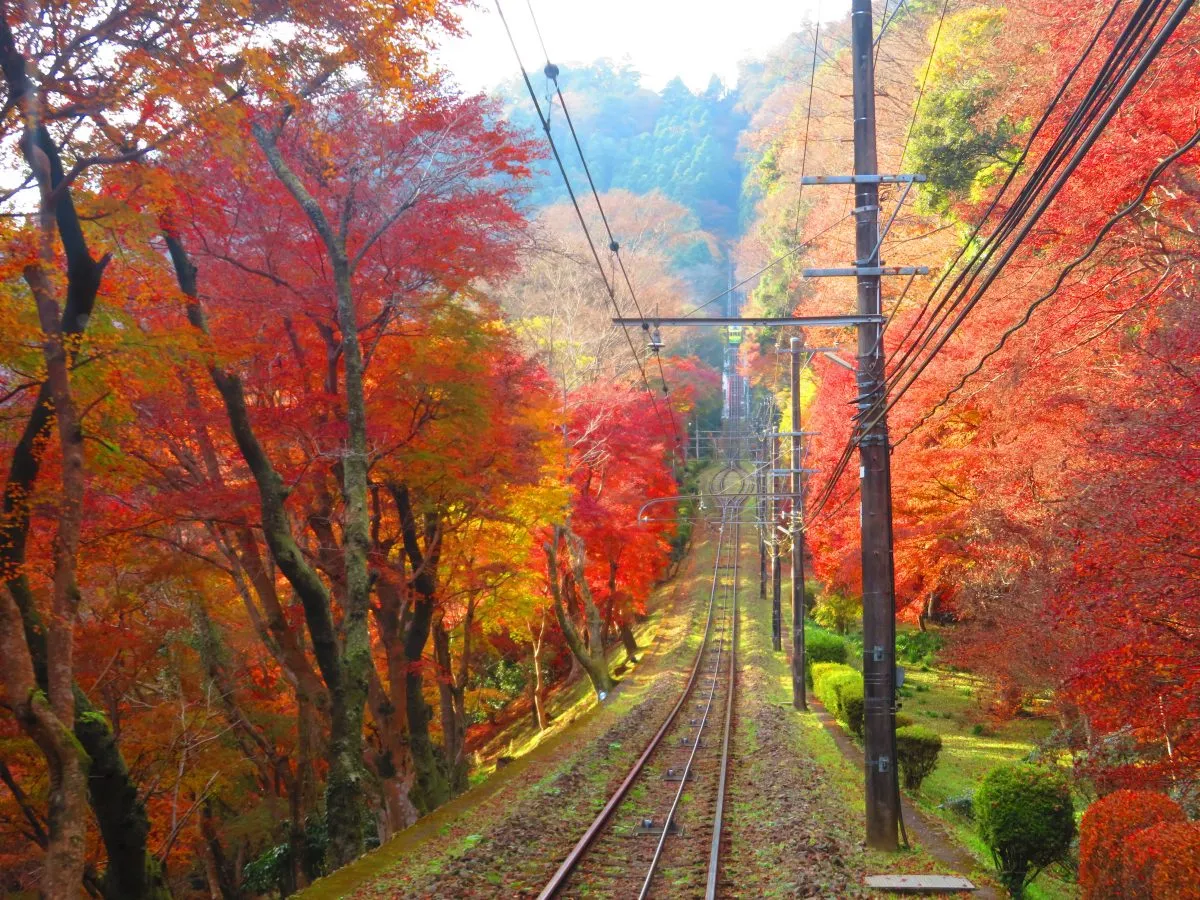 高尾山