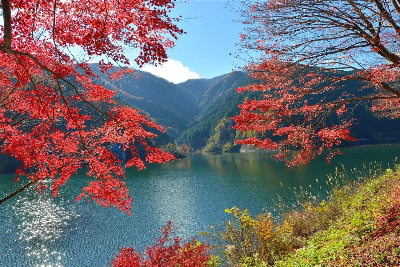 関東の紅葉名所18選｜見頃の時期やおすすめ宿もご紹介