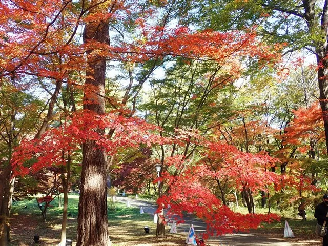 国営武蔵丘陵森林公園