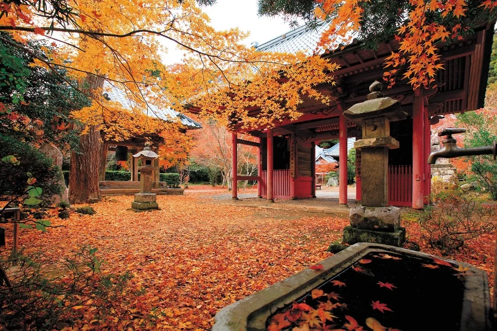 小松寺