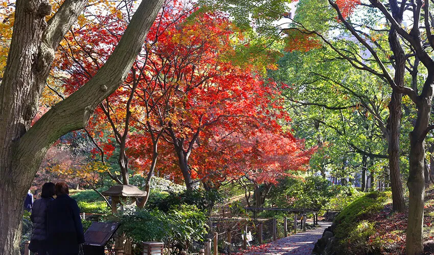 横浜公園