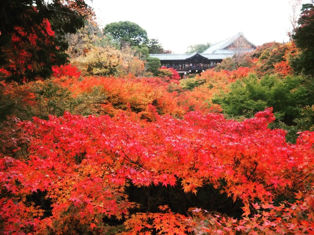 東福寺