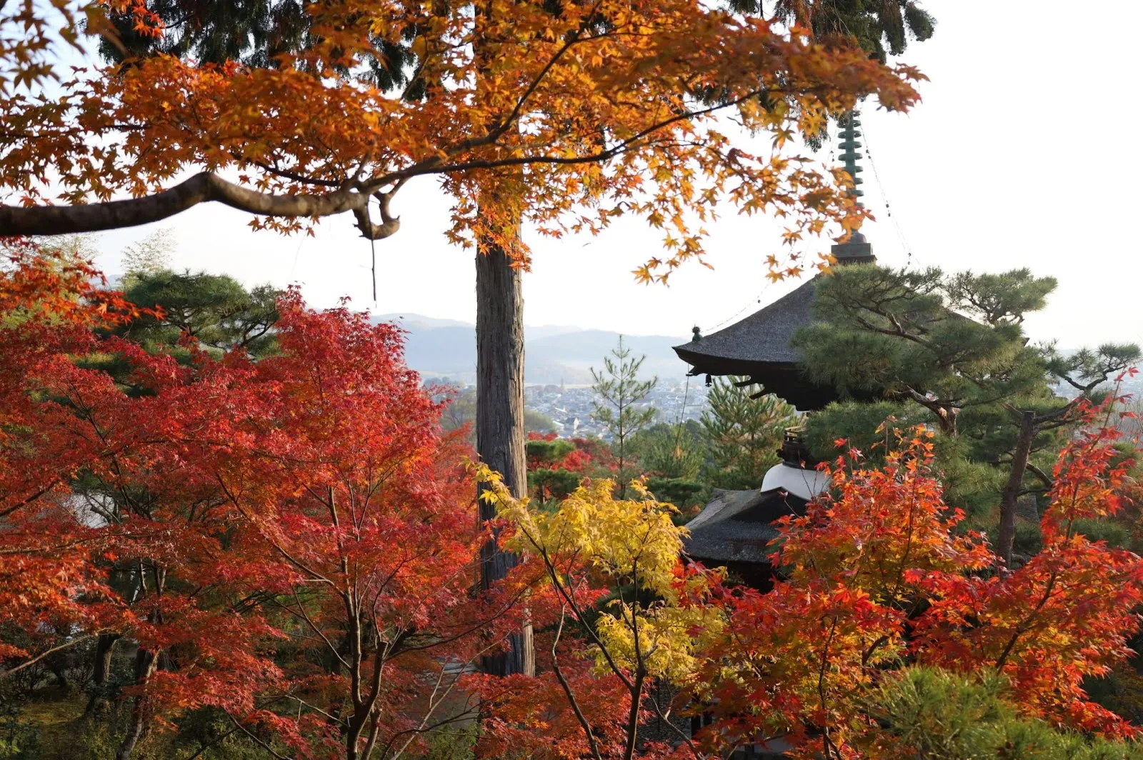 常寂光寺