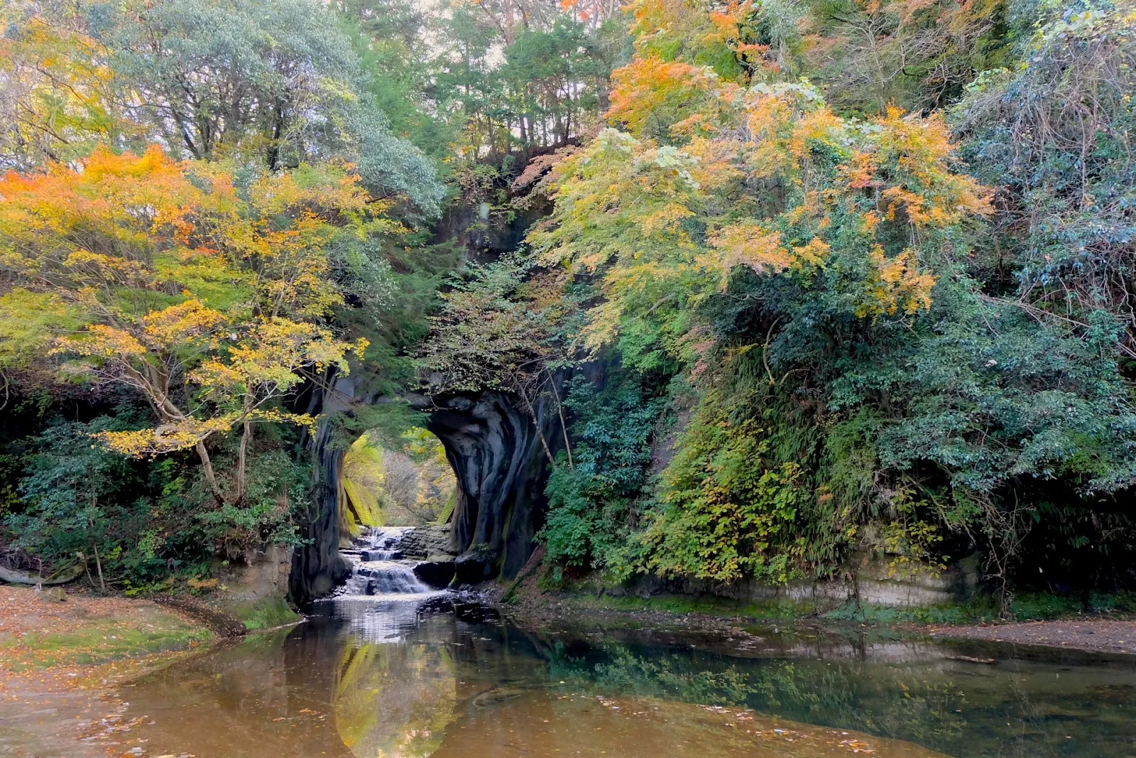 清水渓流広場（濃溝の滝・亀岩の洞窟）