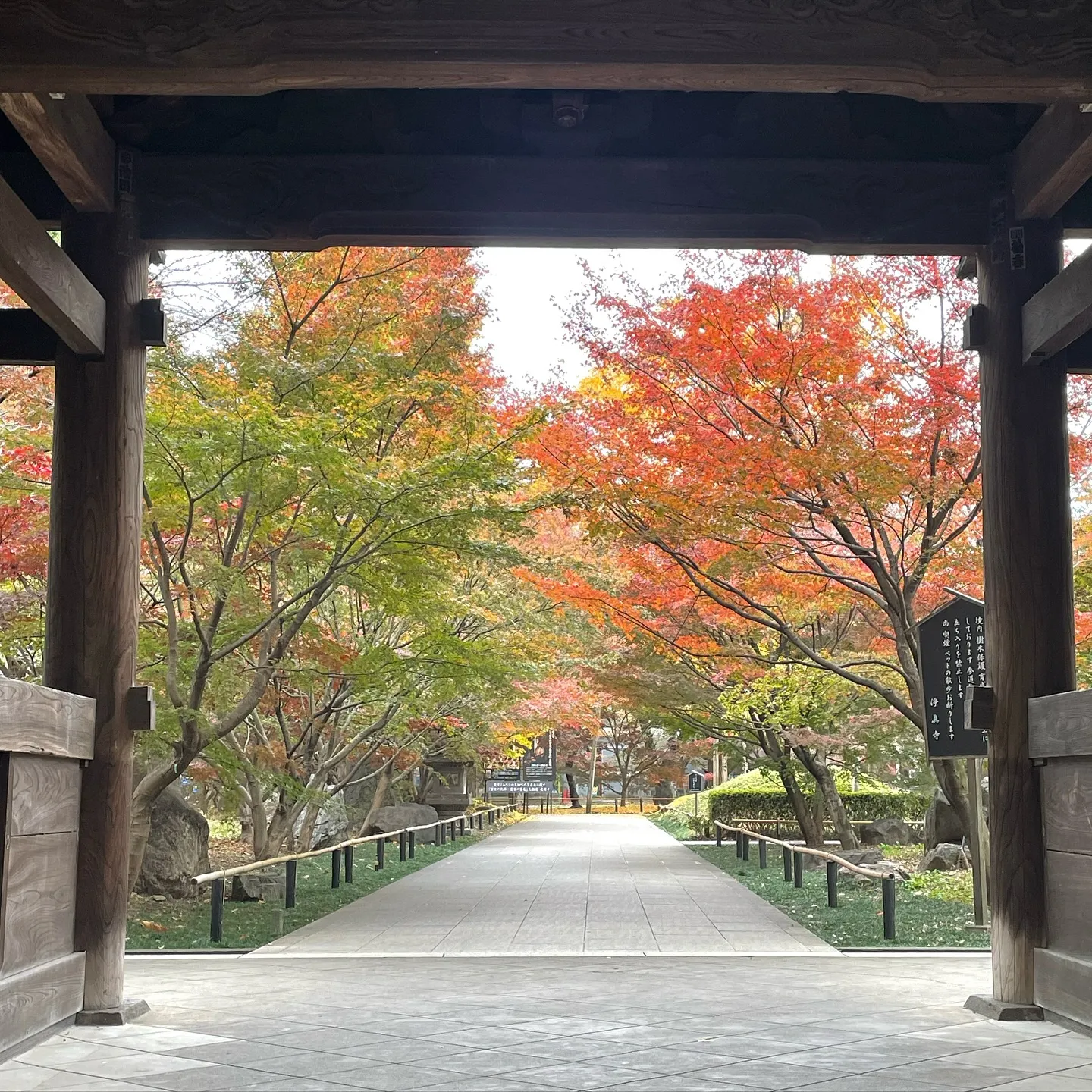 九品仏浄真寺