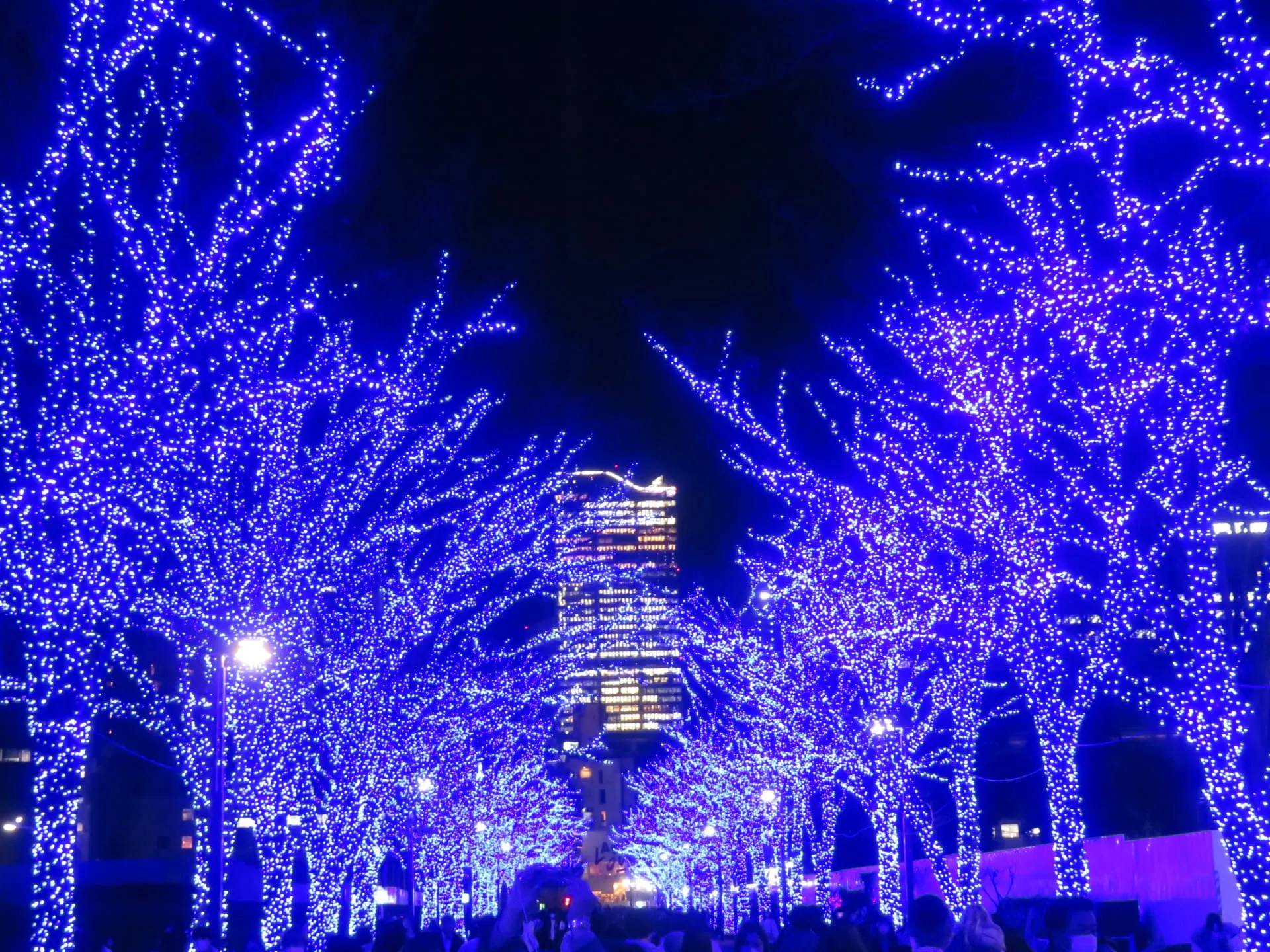 青の洞窟 SHIBUYA