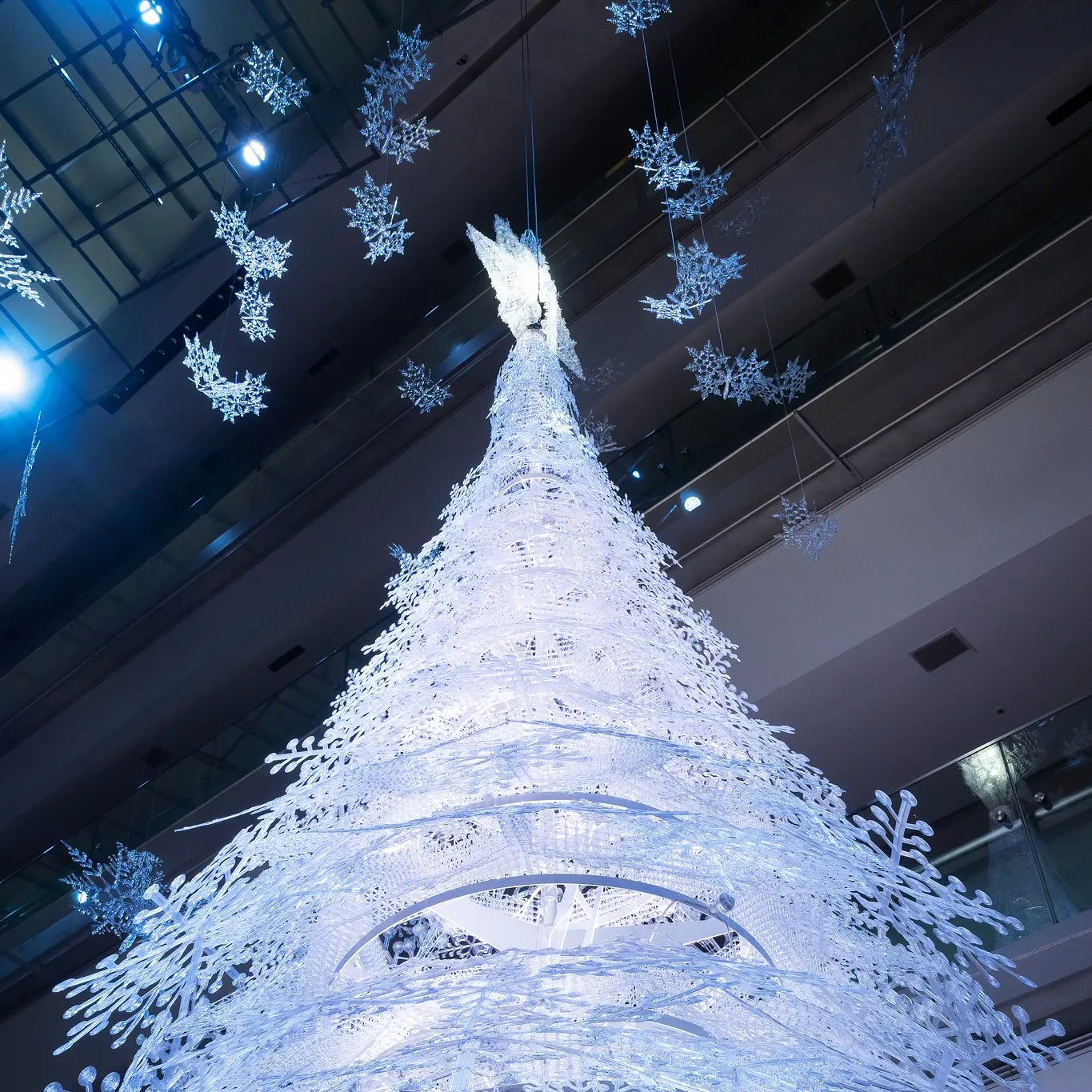 表参道ヒルズ （OMOTESANDO HILLS CHRISTMAS ILLUMINATION）