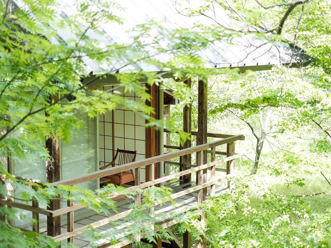 温泉山荘 だいこんの花