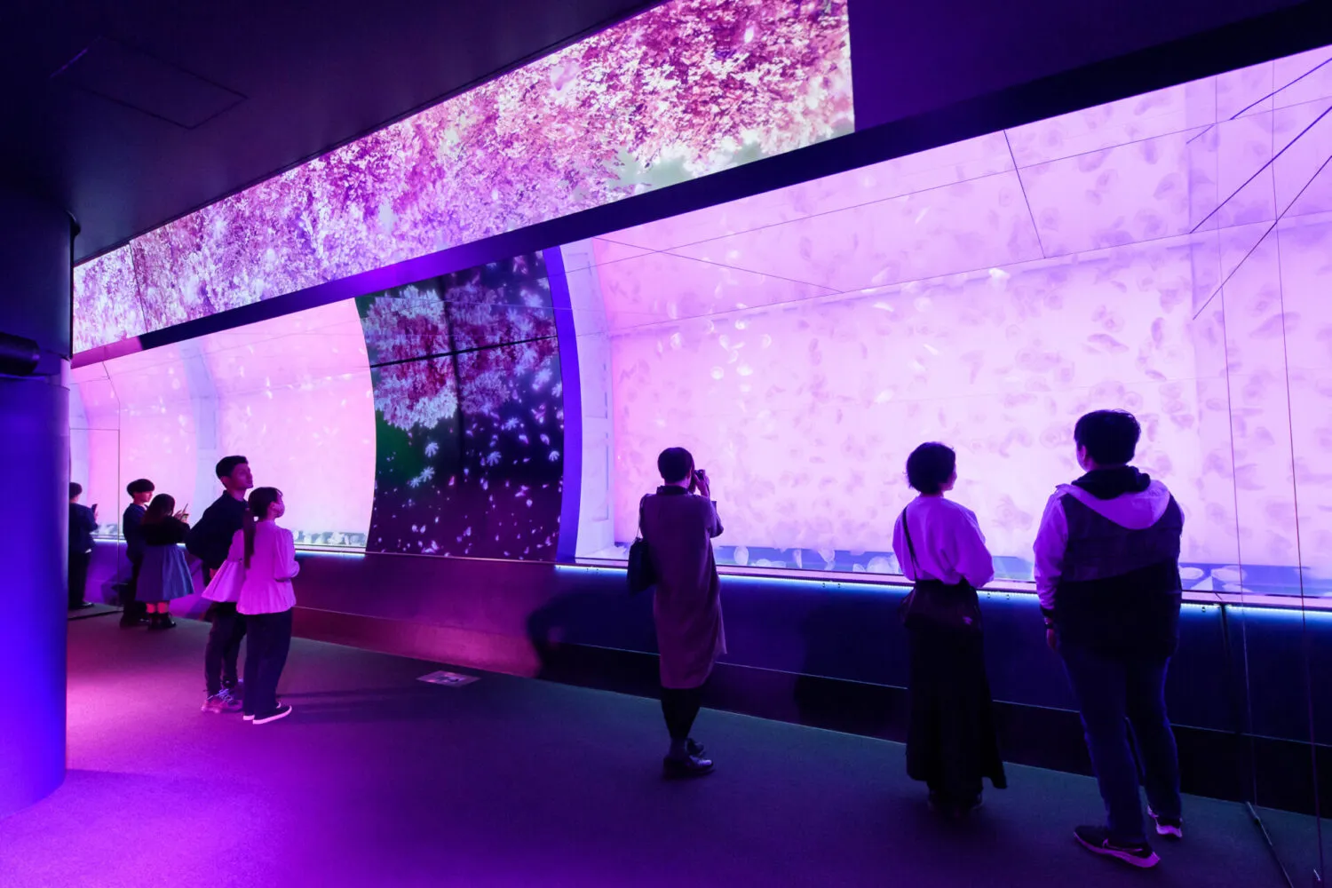 アクアワールド茨城県大洗水族館