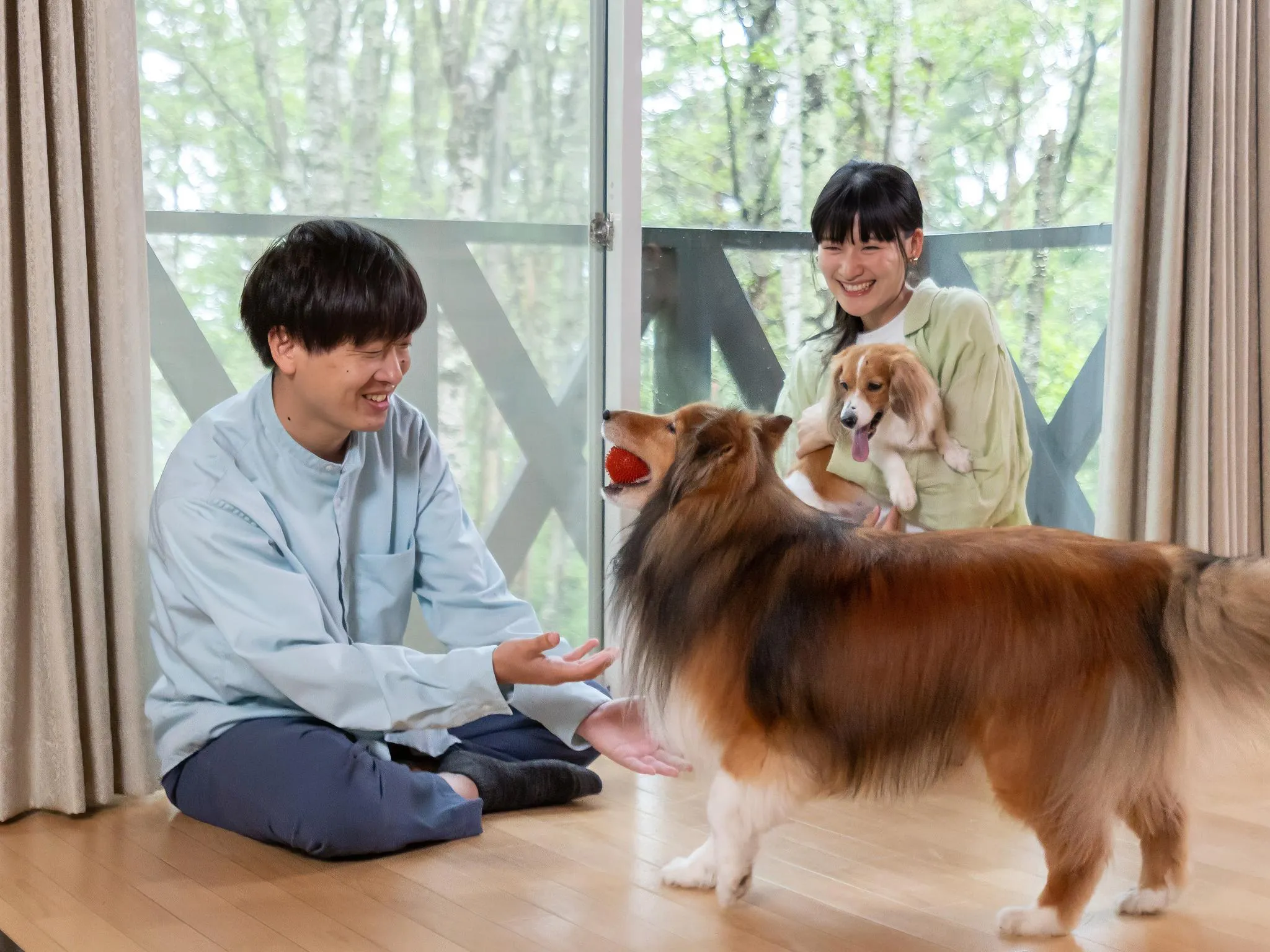 わんわんパラダイス 蓼科