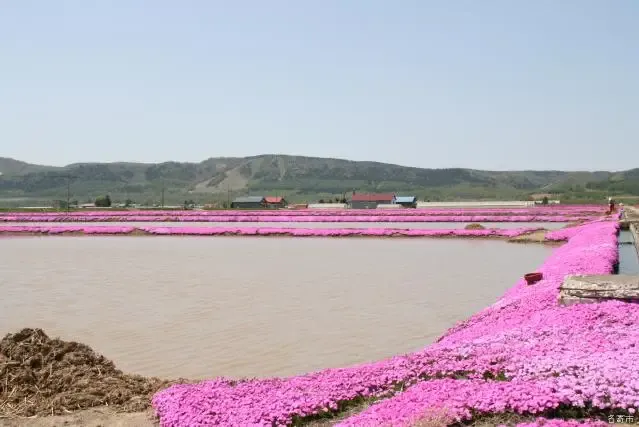 風連町瑞生地区