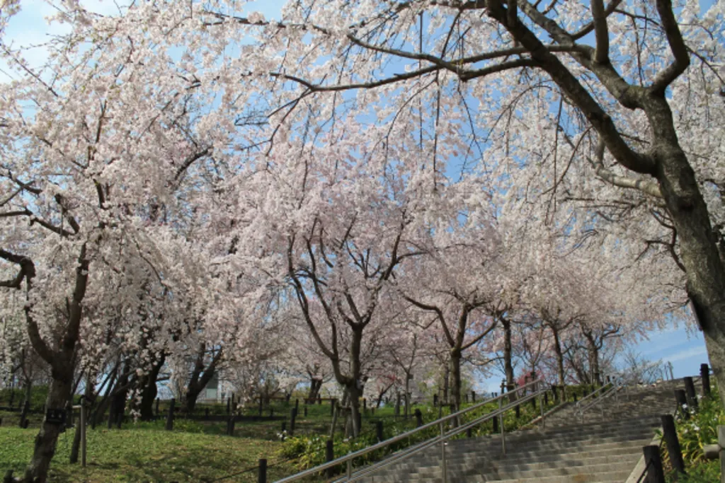 東山動植物園