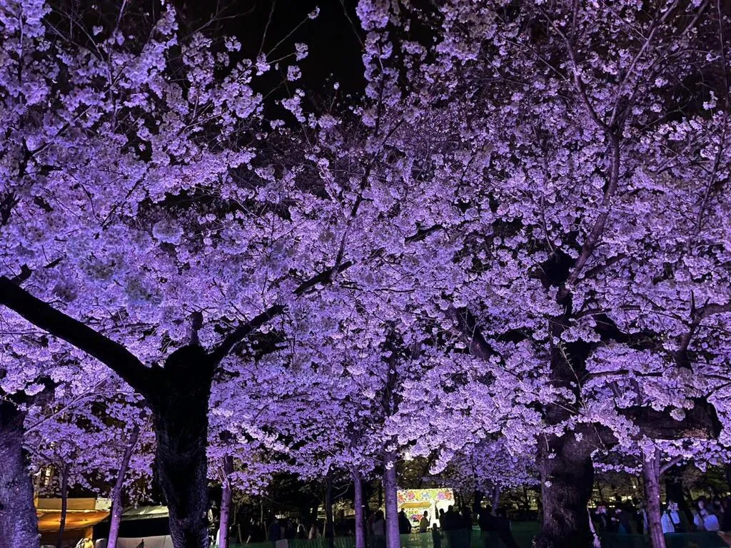 鶴舞公園