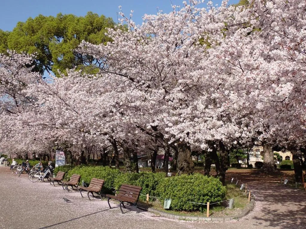 鶴舞公園