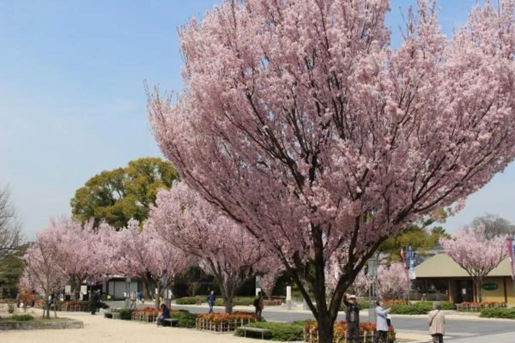 徳川園