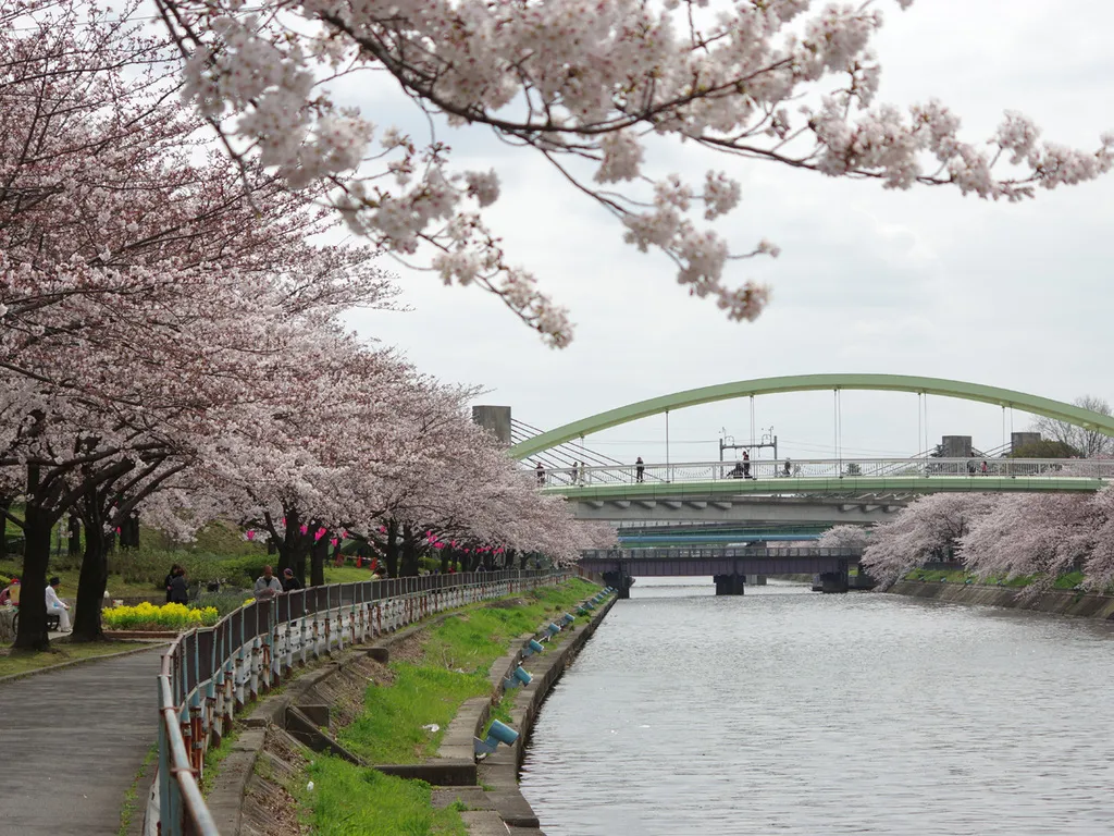 荒子川公園