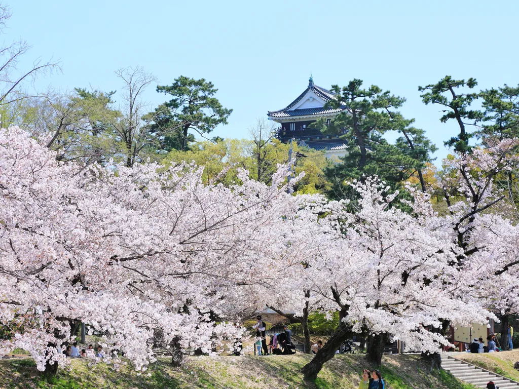 岡崎城公園