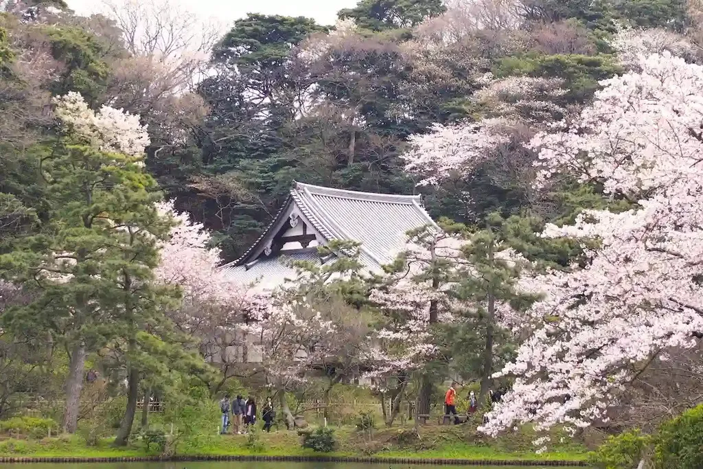 三溪園