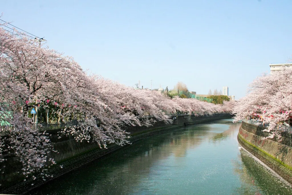 大岡川プロムナード