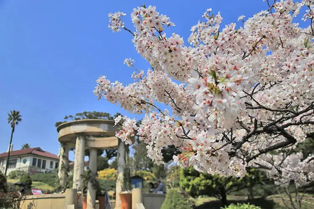 港の見える丘公園