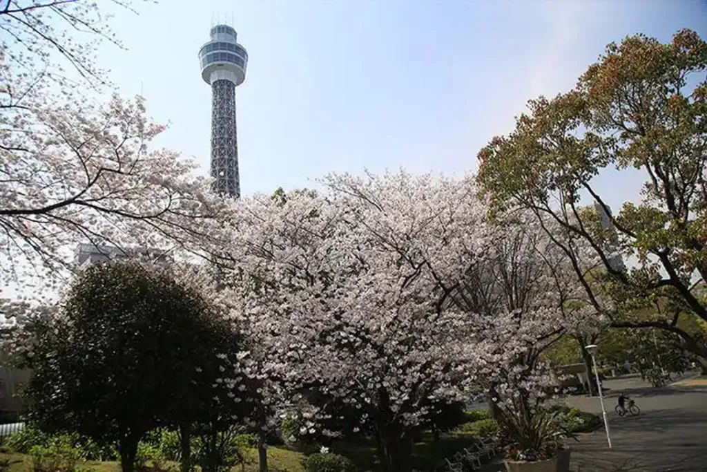 山下公園