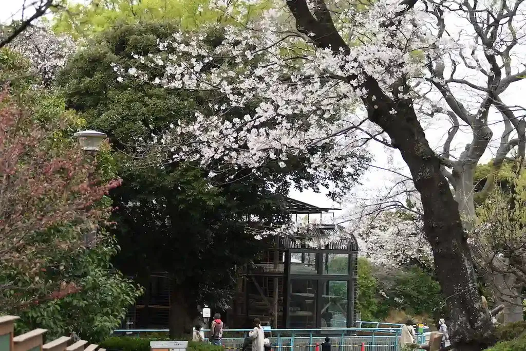 野毛山動物園・野毛山公園