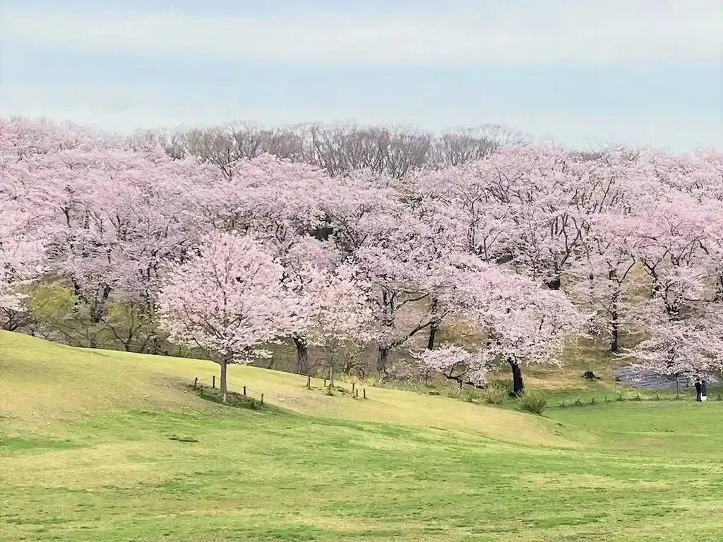 根岸森林公園