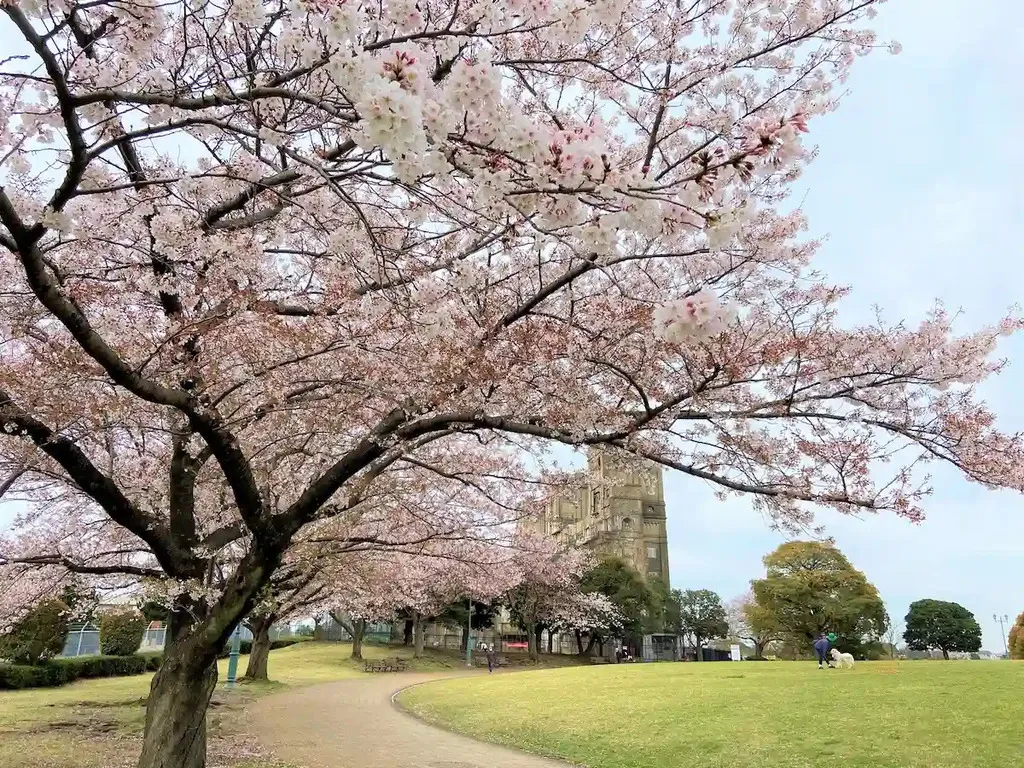 根岸森林公園