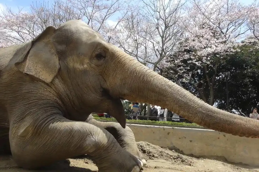 横浜市立金沢動物園