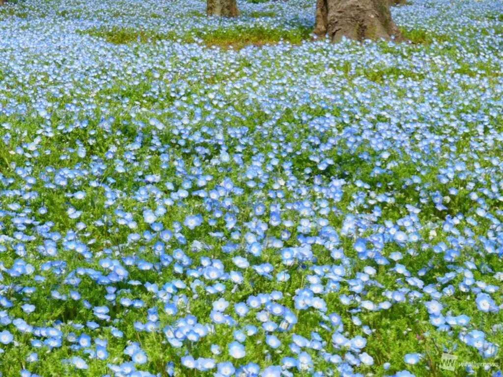 日比谷公園