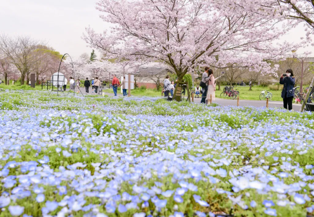 舎人公園