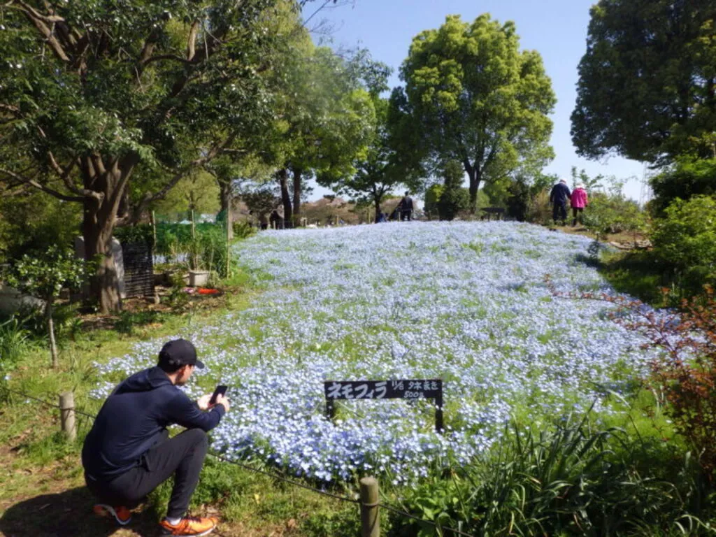 大島小松川公園