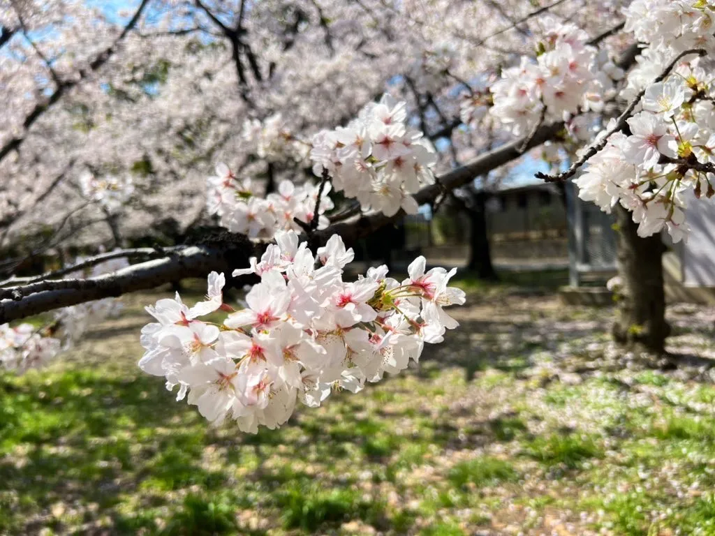 長居公園