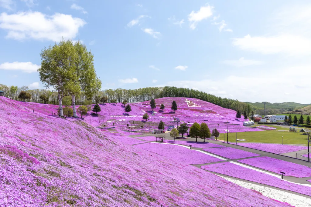 ひがしもこと芝桜公園