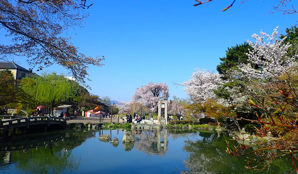 円山公園