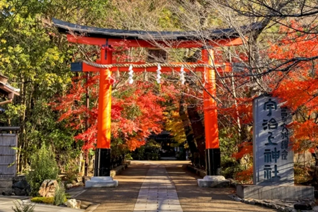 宇治上神社