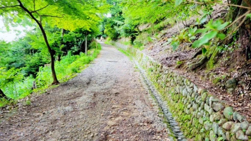 さわらびの道